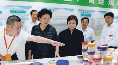 原中共中央政治局委員、國務院副總理劉延東視察我公司